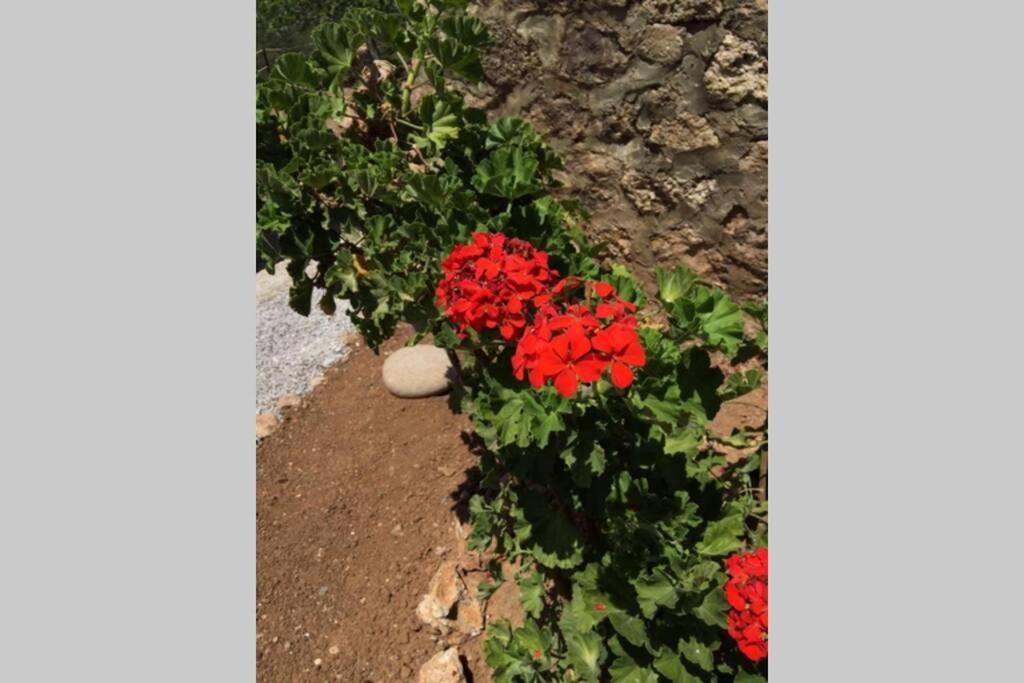 Gerani Maison Agios Aimilianos Beautiful View Porto Heli Esterno foto